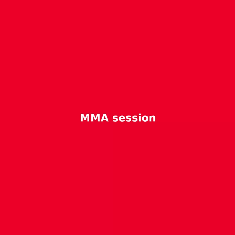 MMA training session