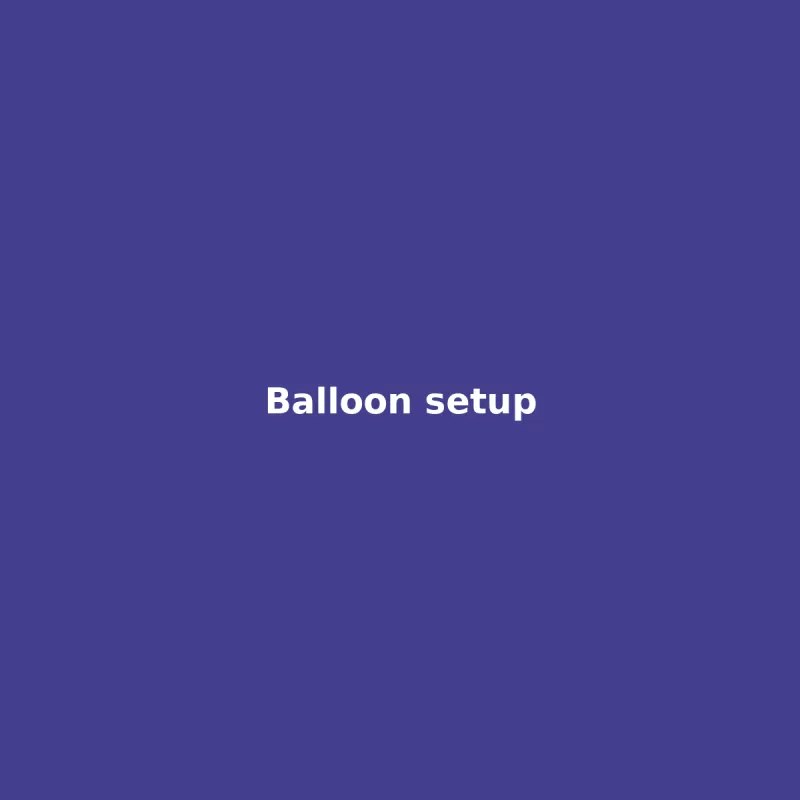 Balloon setup