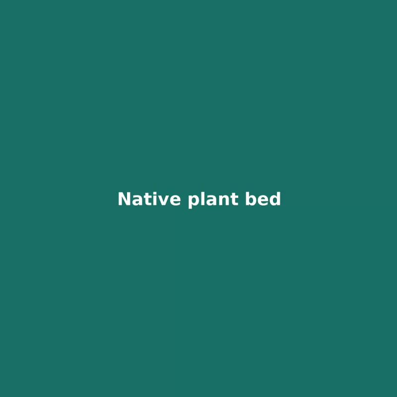 Native plant bed