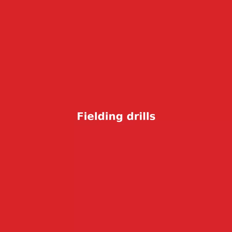 Fielding drills