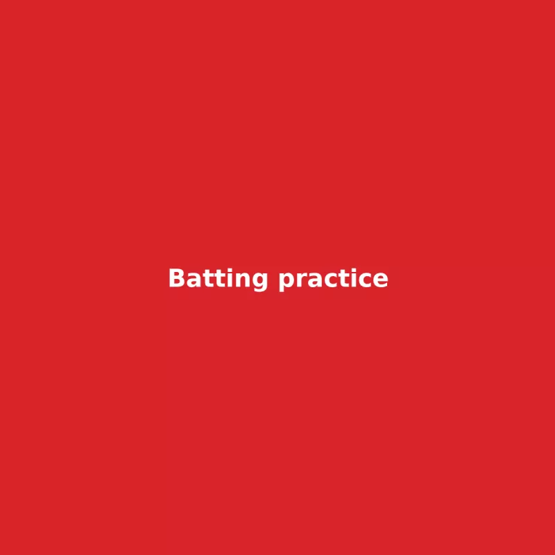 Batting practice