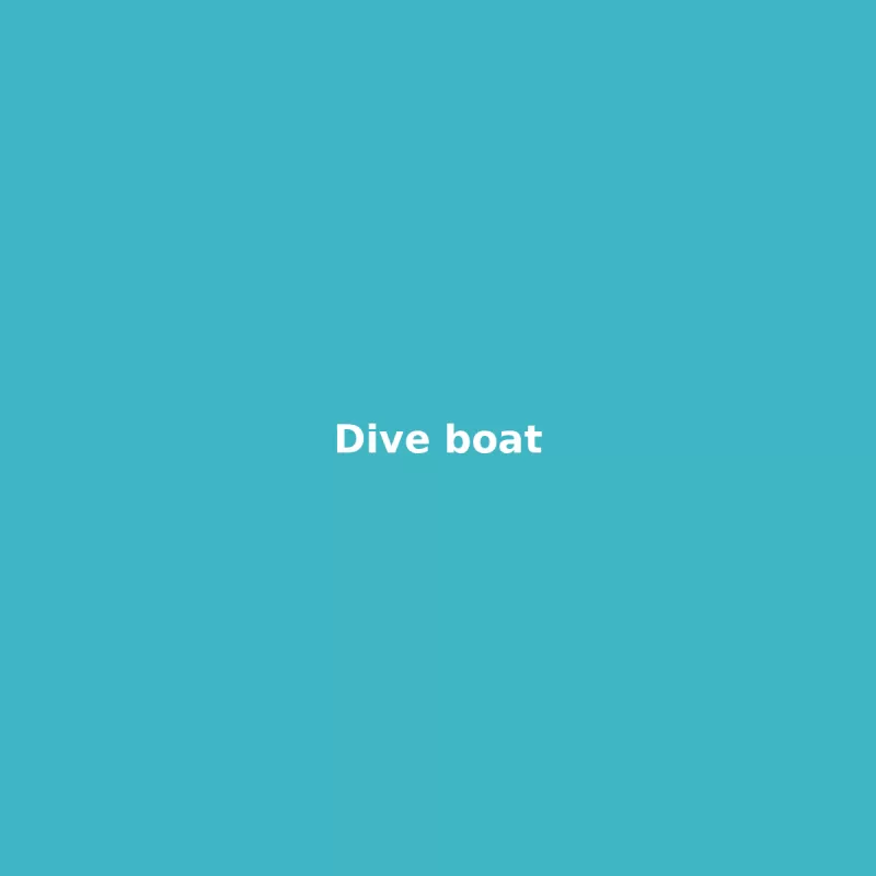 Dive boat