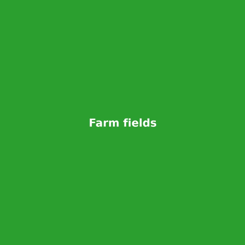 Farm fields