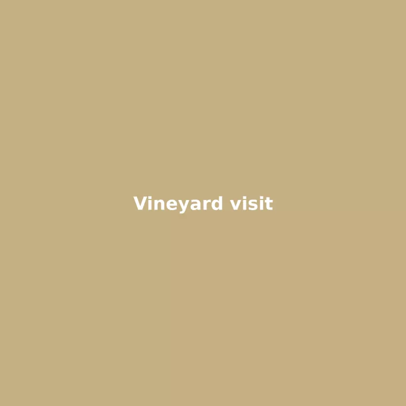 Vineyard visit
